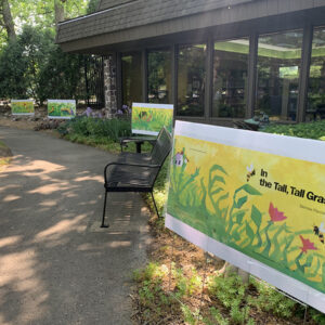 Photo of the courtyard at Brookfield Public Library with Story Stroll yard signs installed along a paved path.