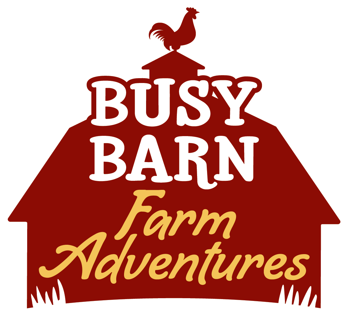 Busy Barn Farm Adventures Logo